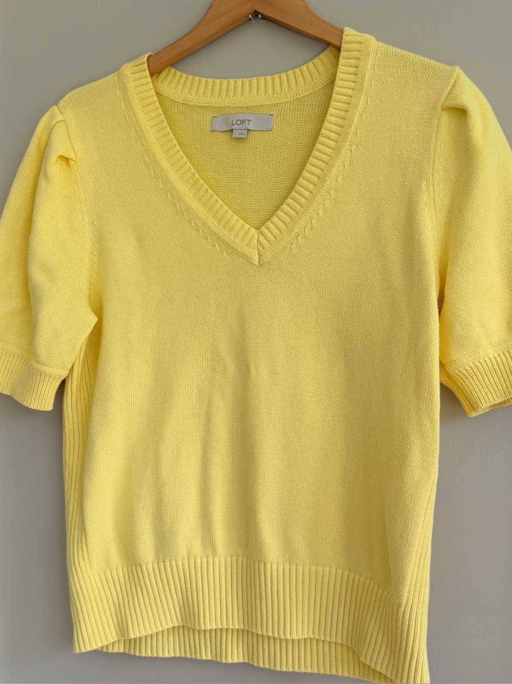 Loft Knit V neck Short Sleeve Sweater